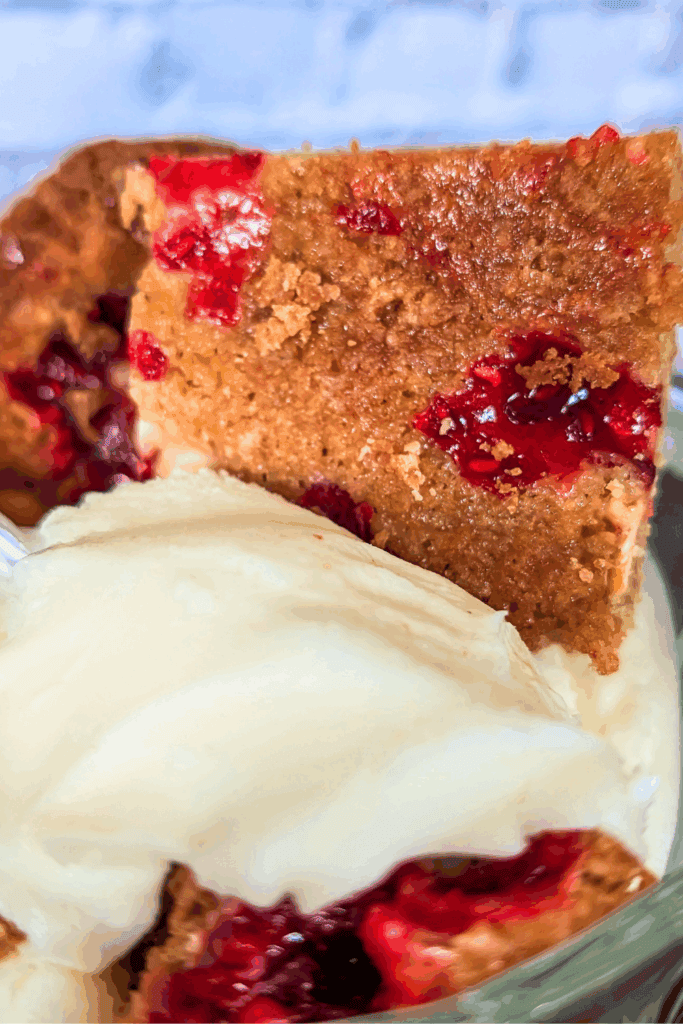 close up with vanilla ice cream and raspberry blondies