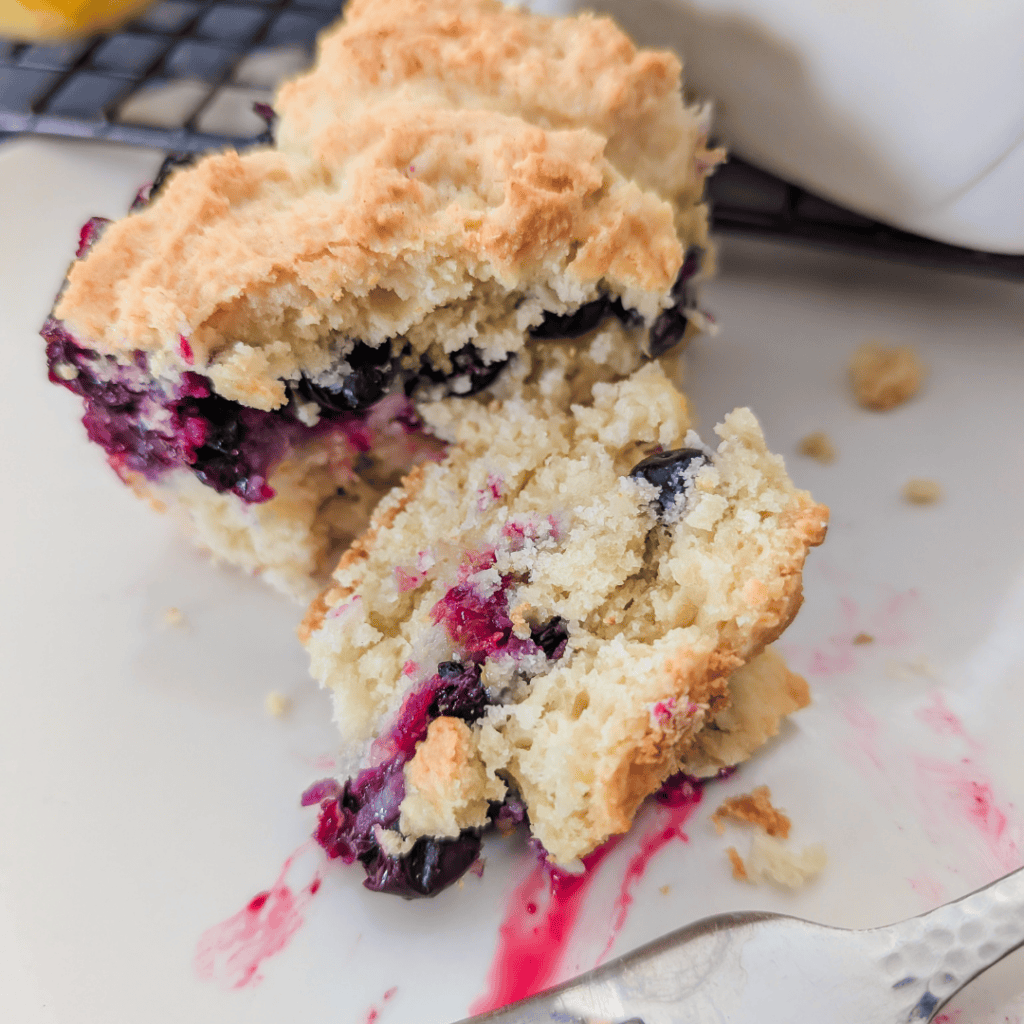 Close-up of blueberry lemon crumble squares with fresh blueberries and crumb topping.