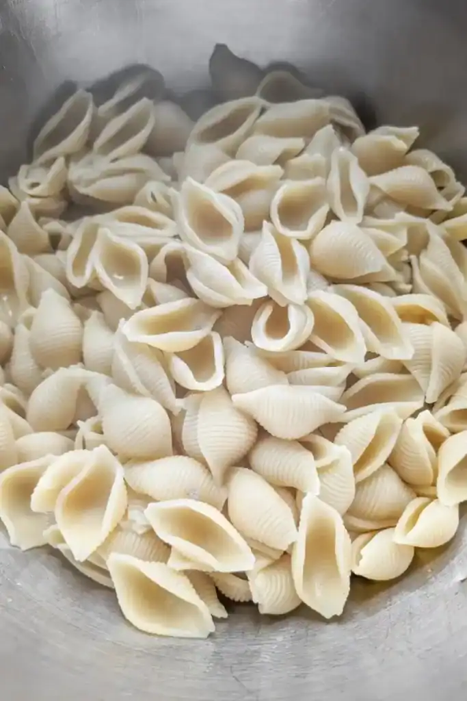 cooked pasta shells in salad bowl