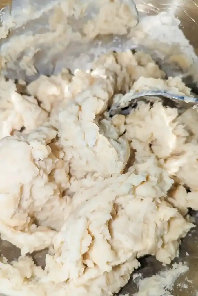 the biscuit mixture before kneading