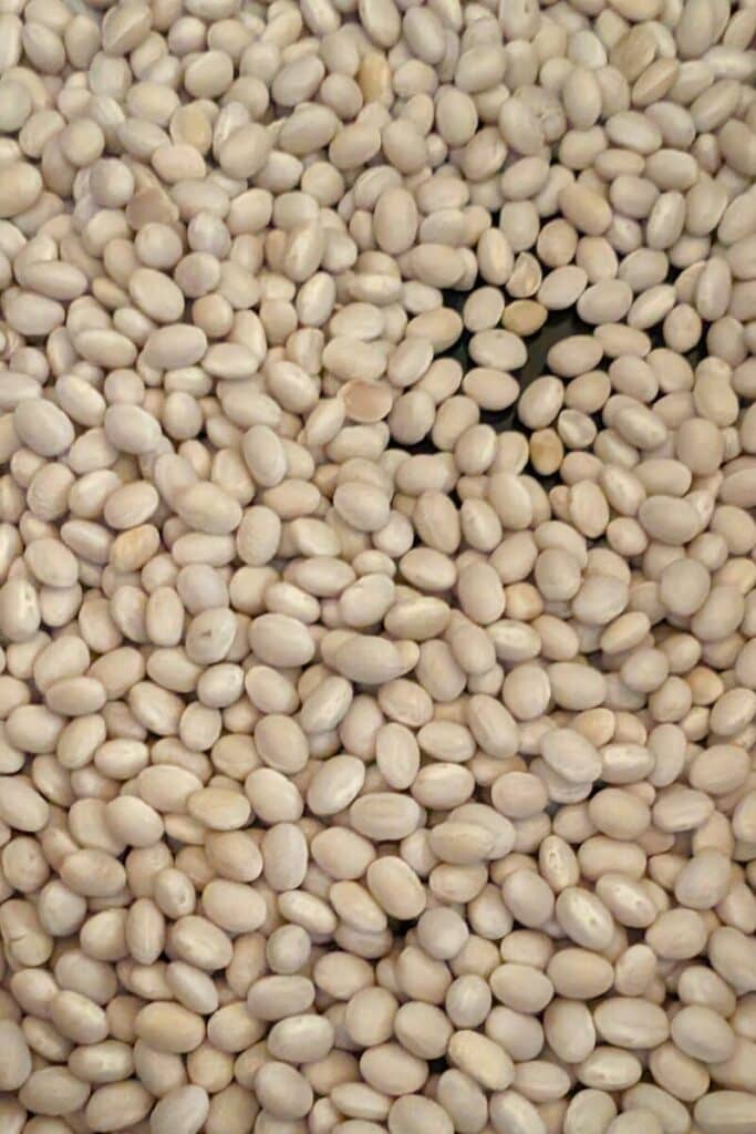 dried navy beans in slow cooker