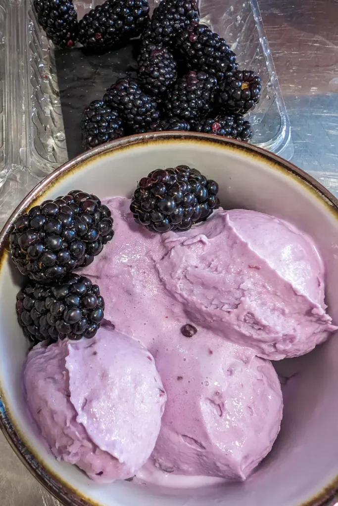 serving ice cream with more berries