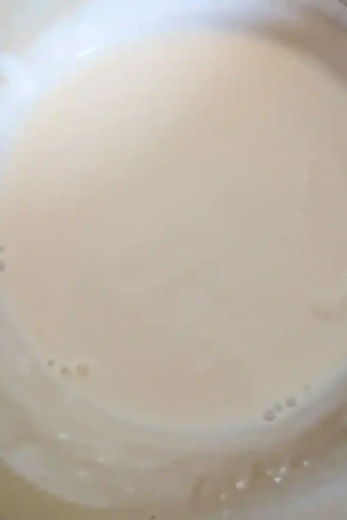 adding mayonnaise to salad dressing