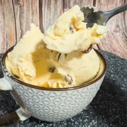 rum raisin ice cream ninja creami recipe
