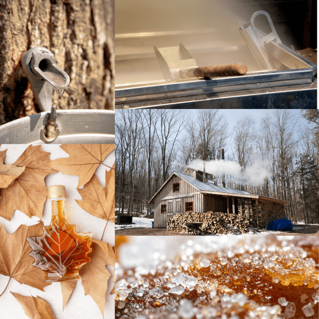 Maple sugar being made from boiled sap in a rustic outdoor setting.