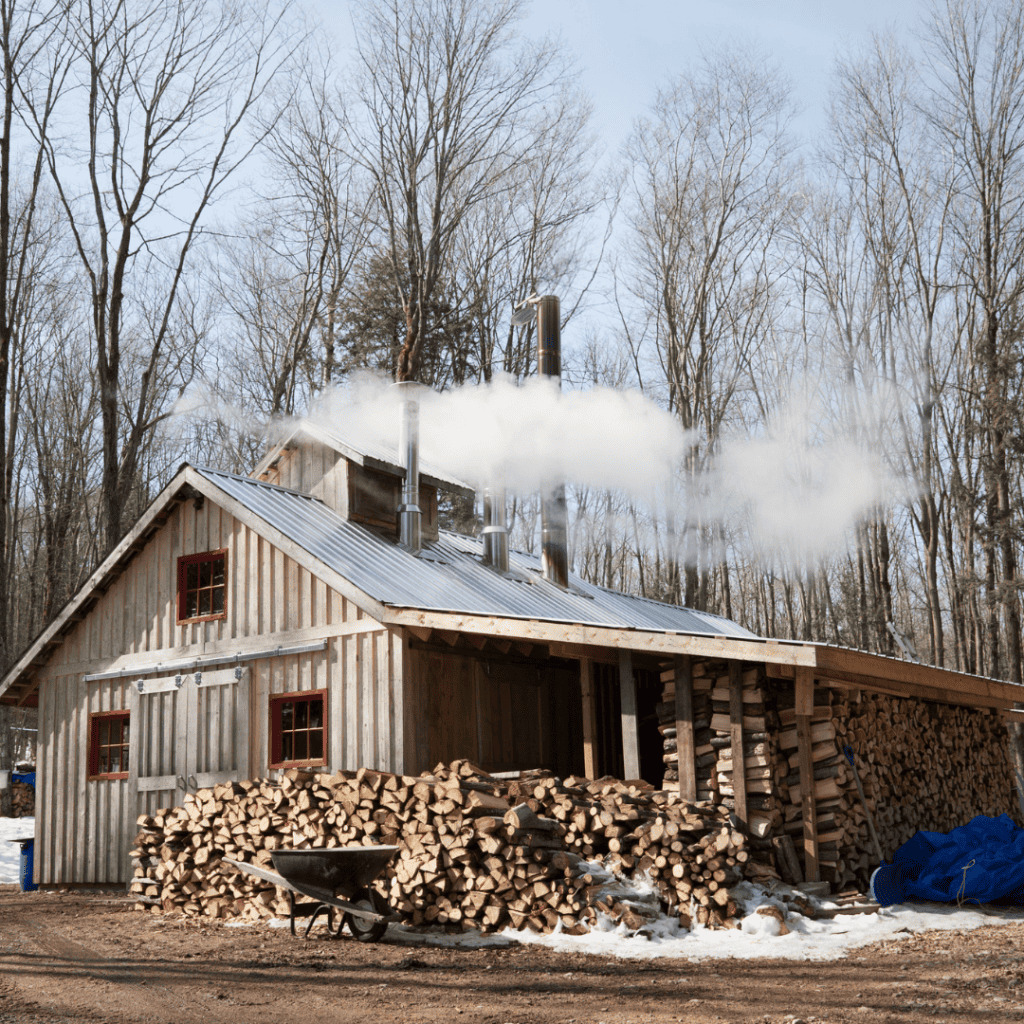 Maple sugar house emitting steam during winter season.