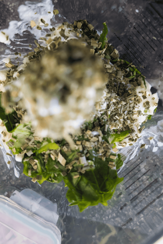 Fresh spinach and cottage cheese dip in a blender for a high-protein snack.
