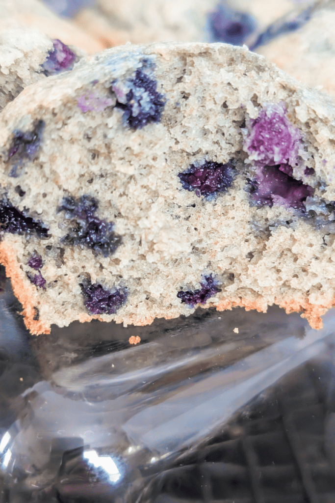 Blueberry muffin with frozen wild blueberries and moist crumb texture.