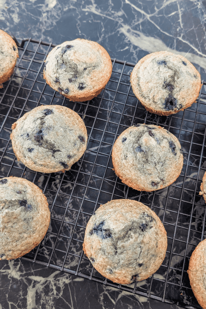 Wild Blueberry Muffins with Frozen Canadian Wild Blueberries.