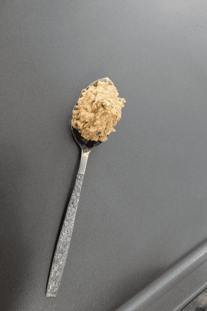 Chewy spiced oatmeal cookie with black sesame on a spoon against a gray background.