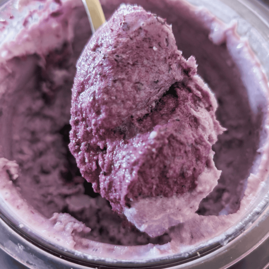 Delicious homemade blueberry ice cream topped with a rich blueberry reduction. Perfect for summer tr.