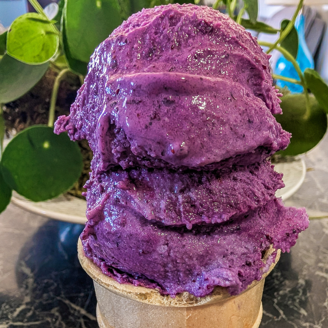 Delicious homemade blueberry ice cream topped with blueberry reduction, perfect for summer desserts.