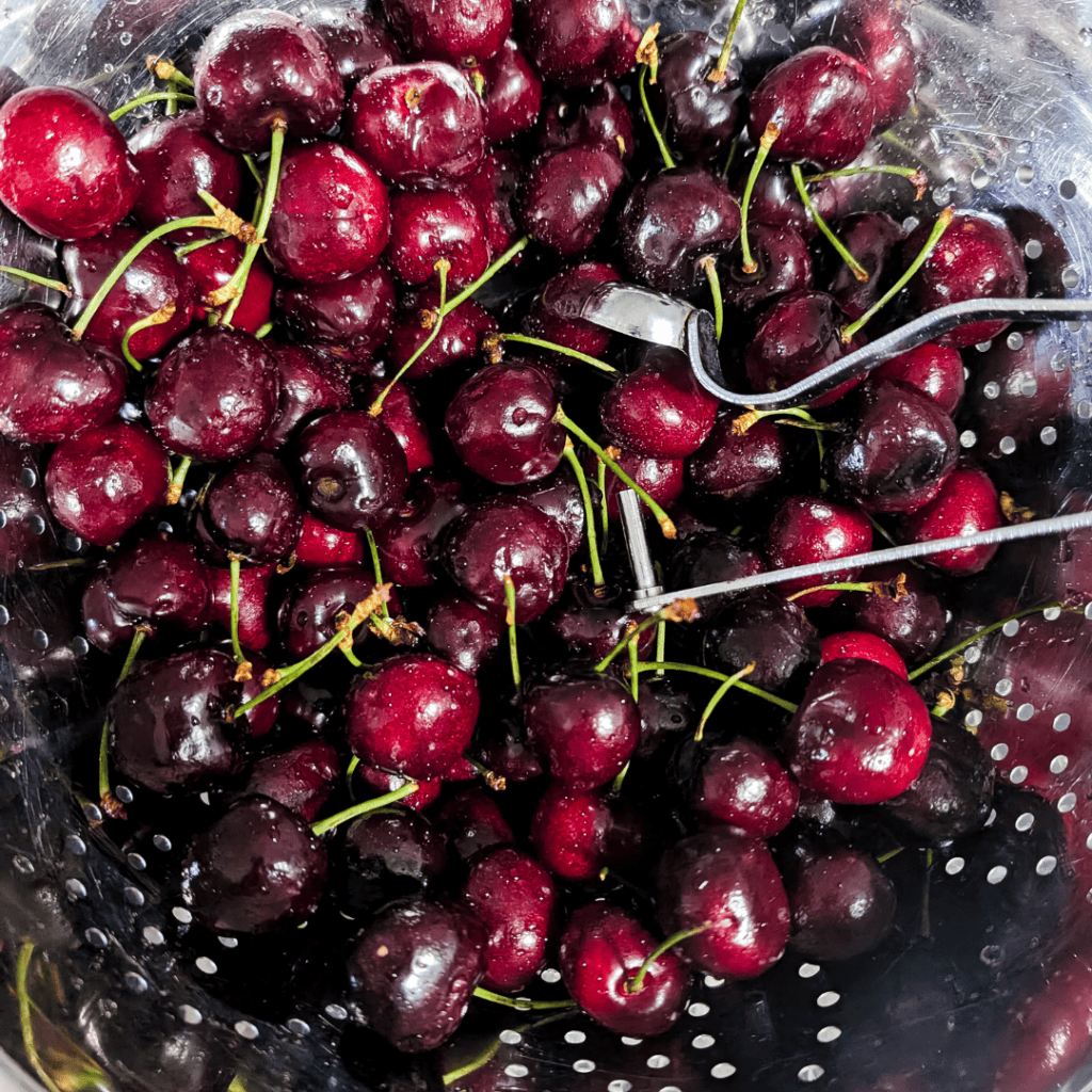 Fresh sweet cherries in a plastic container, perfect for snacking or baking.