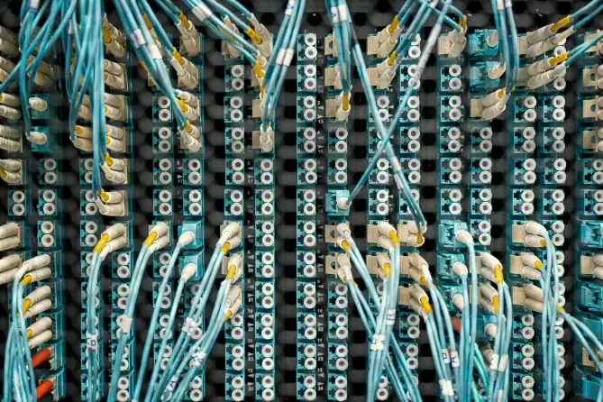 Close-up view of numerous blue network cables connected to a server rack or patch panel, ideal for reliable ColdFusion Hosting environments.