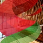 Bright room featuring wooden interior, balcony access, and relaxing atmosphere for guests.