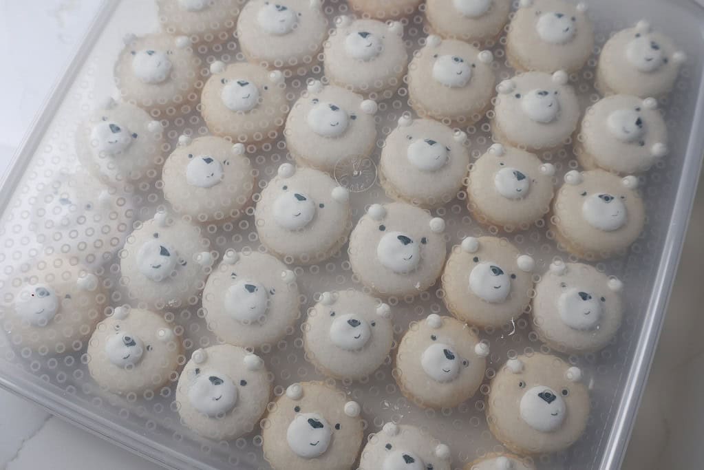 image of polar bear macarons in an airtight container