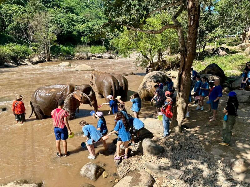 廢氏清邁私生活 Chiang Mai Journey - 清邁大象保育+激流一日體驗