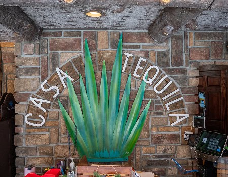Casa Tequila Mexican Grill & Cantina logo with agave plant design in Chicago.