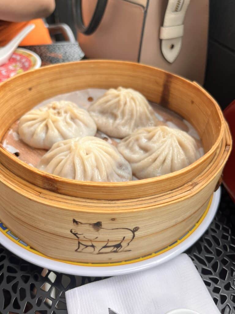 Plate of soup dumplings