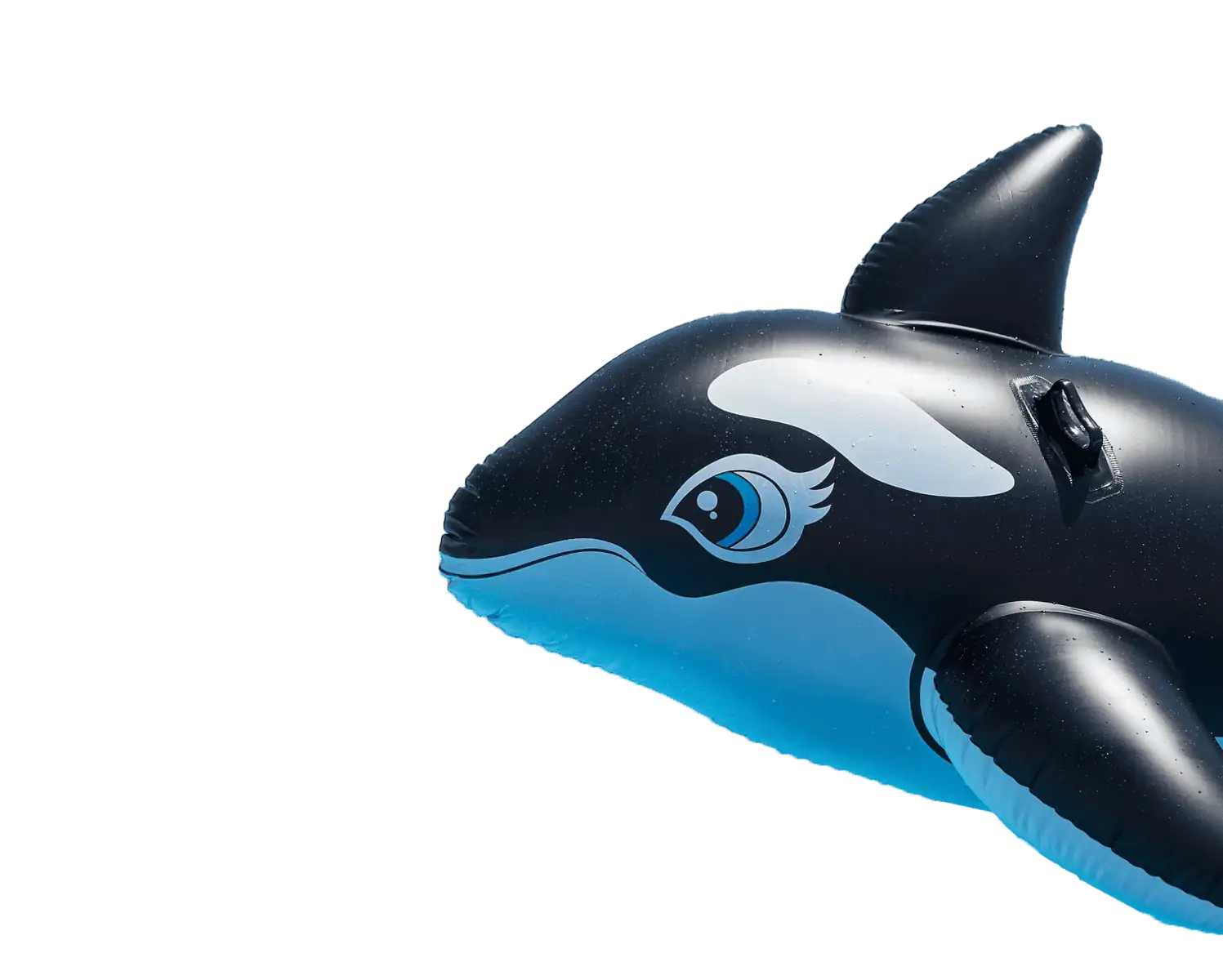 pool-float-g9c7bb8472_1920 whale pool float