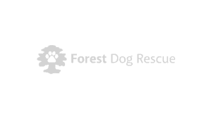 Forest Dog Rescue