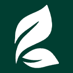 lille logo