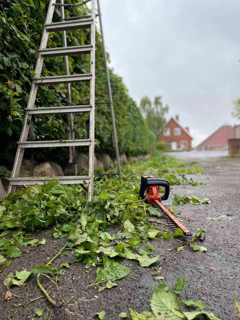 En stige ved en hæk