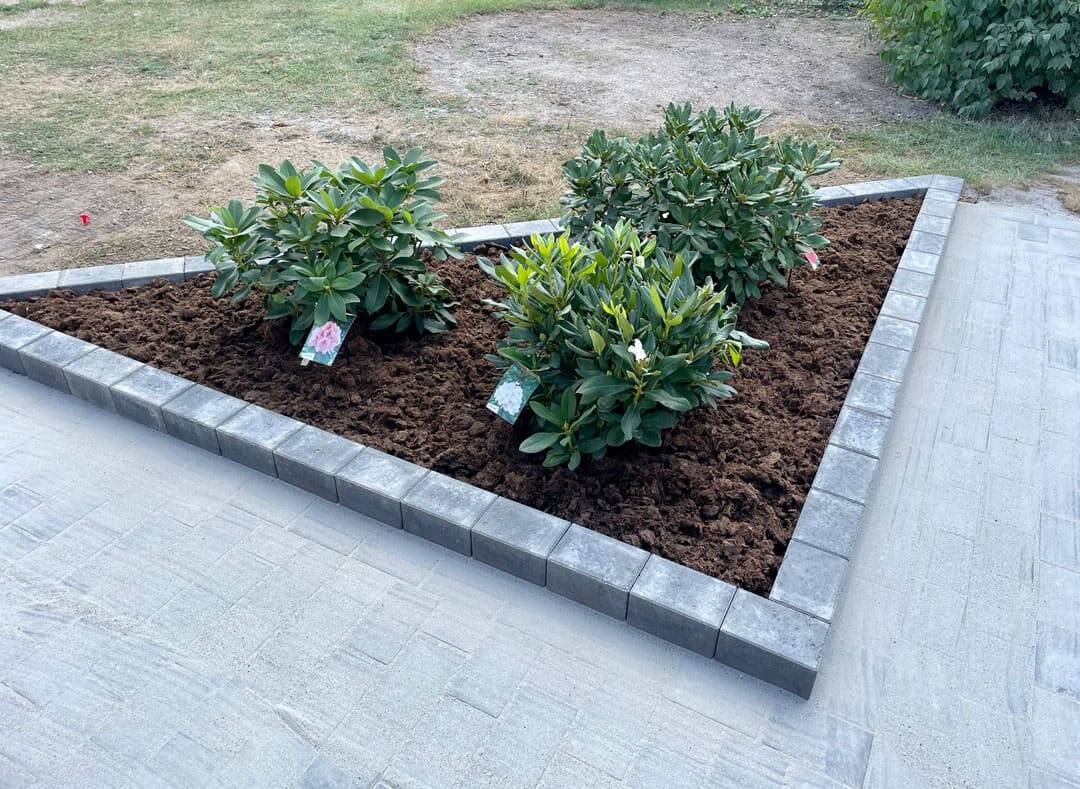 Tre planter i trekantet bed