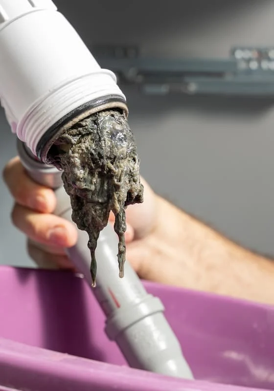 Clogged-Drain-Cleaning