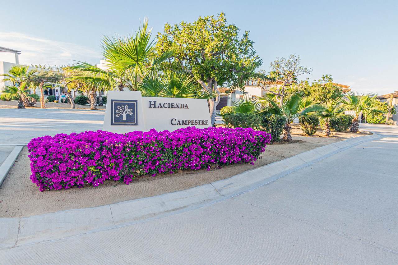 Club Campestre Entrance With Vibrant Purple Flowers And Lush Greenery, Showcasing A Luxurious Golf Community With Ocean Views.