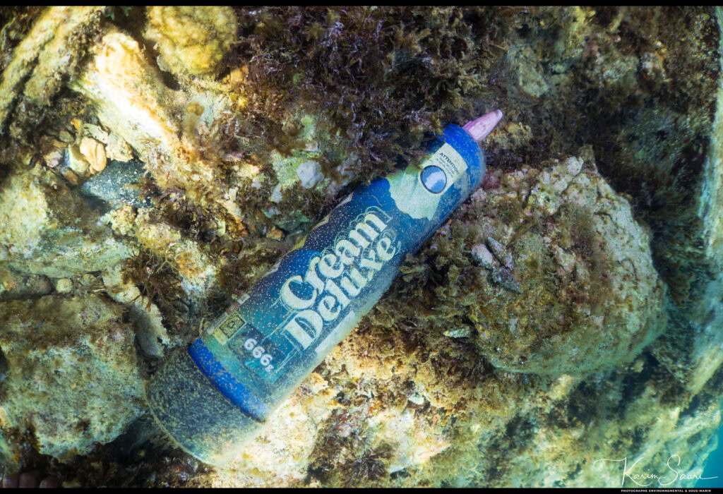 Calanques propres 26 4 1024 700