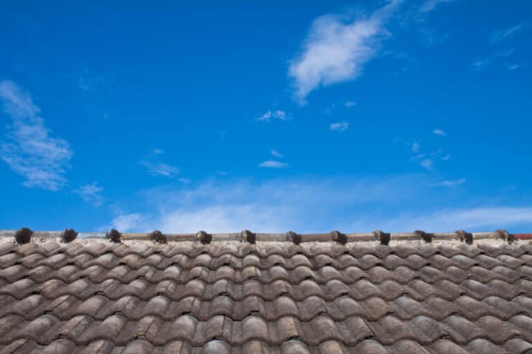 roof shingle