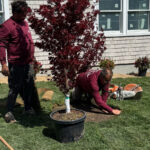 Total Remodel In West Hyannis Port, MA 42 Landscaping