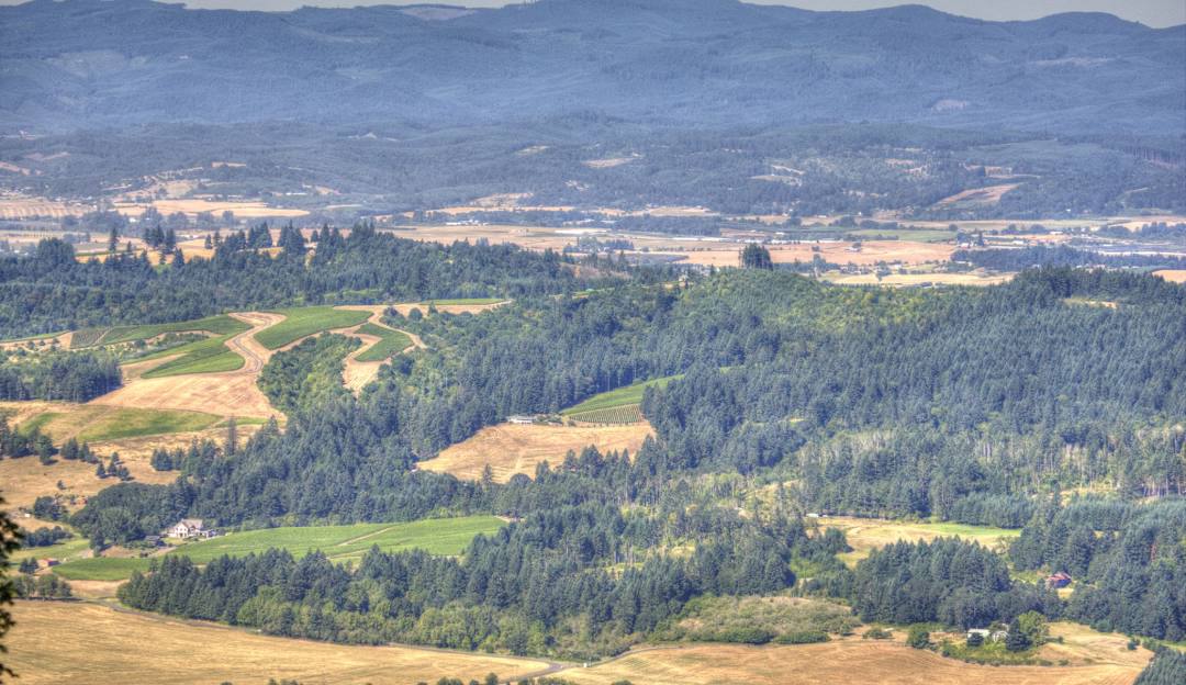 Newberg
