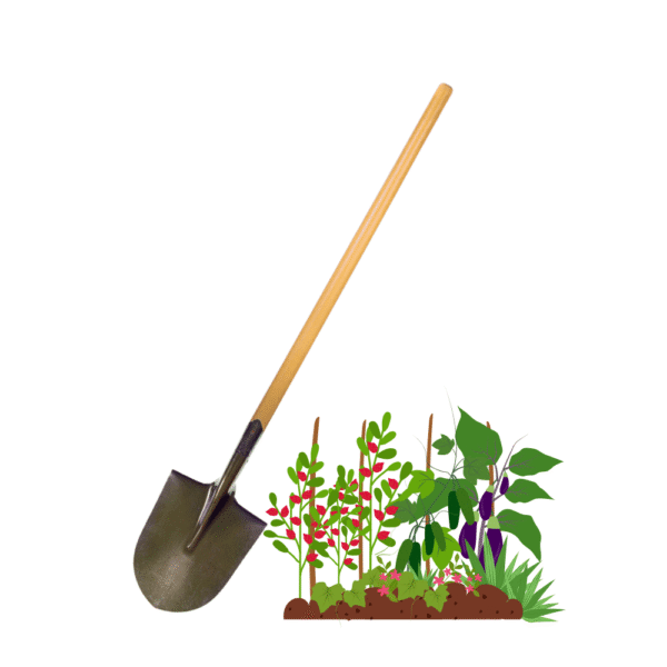 gradinski prinadlejnosti