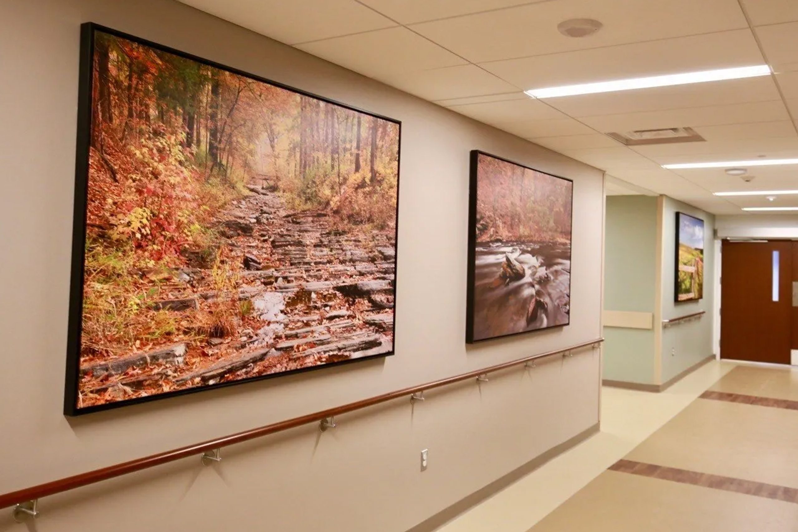 St. Anthony Hospital - Art