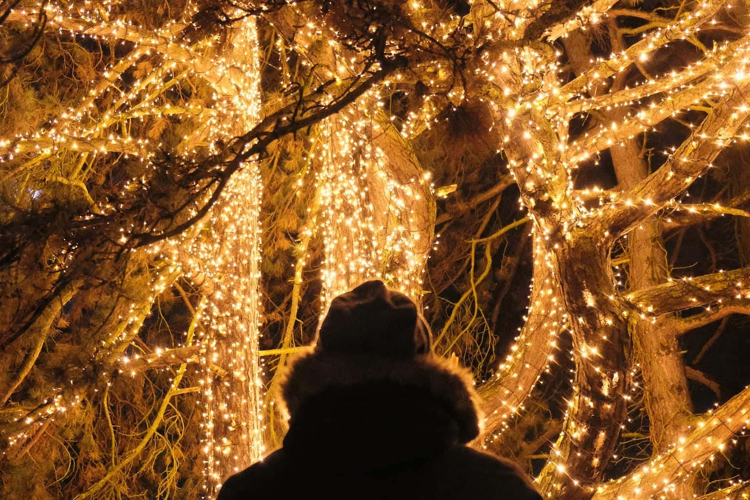 A light display as an example of holiday activities.