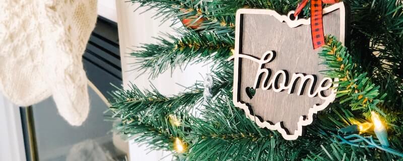 An Ohio ornament hanging on a tree.
