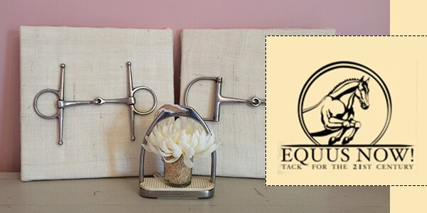compass_blog_equusnow