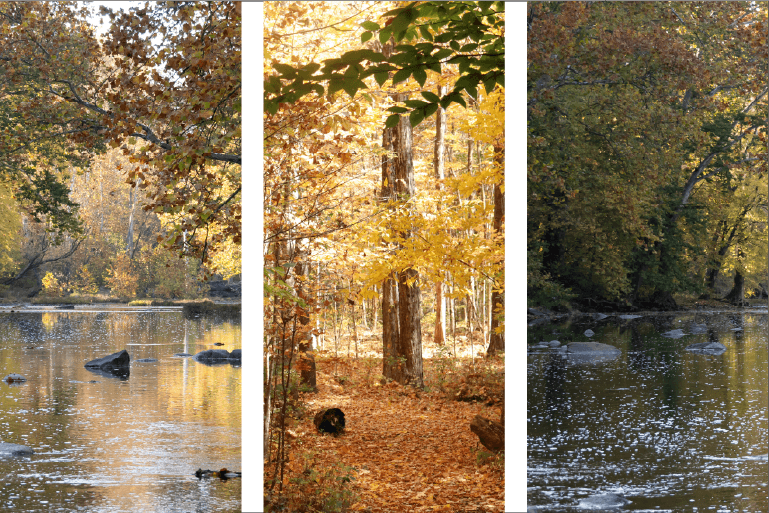 Autumnal scenes in Delaware County, Ohio.