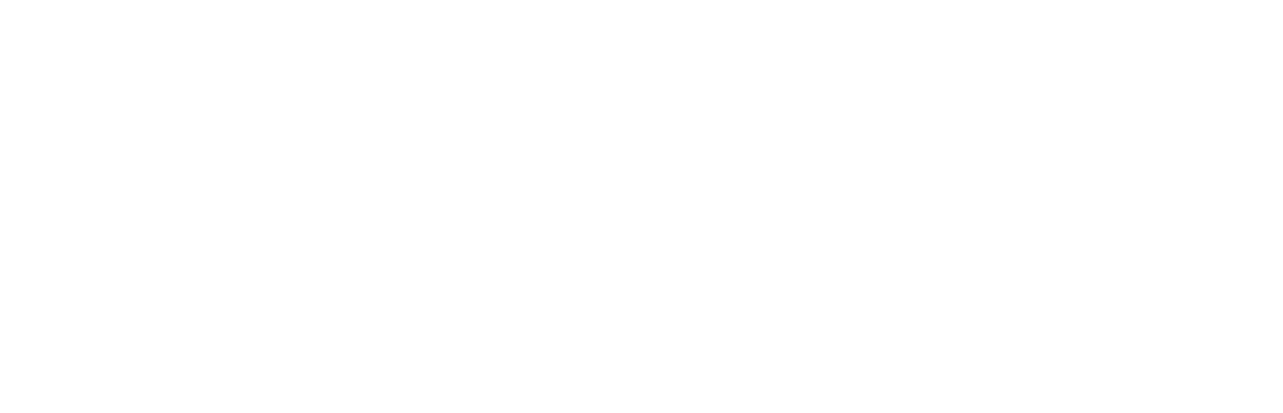 Comprehensive Accident and Injury Light