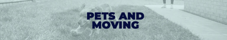 Pets and moving assistance by The Almaro Team in Walnut Creek, CA. Expert support for a smooth trans.