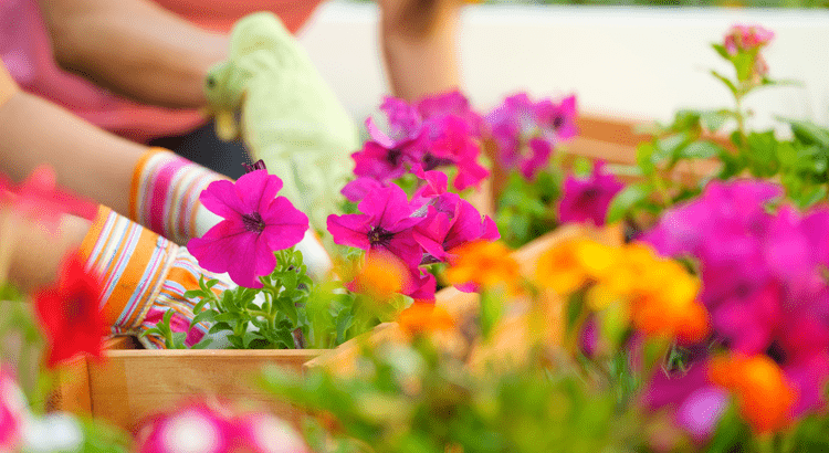 Colorful flower garden with children planting and gardening tools in the background.