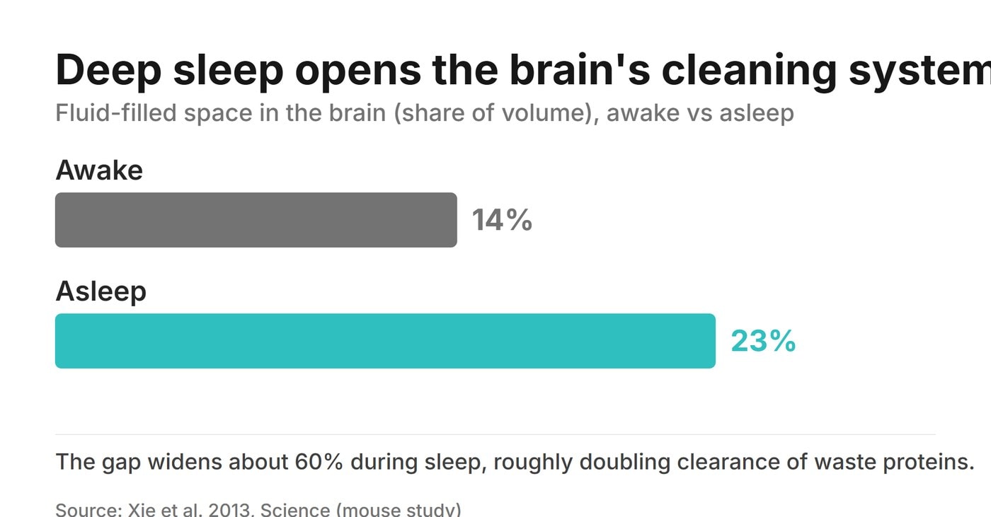 Bar chart: the brain fluid-filled space expands from about 14% of volume awake to 23% asleep, roughly doubling waste clearance (Xie et al. 2013).