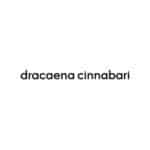 DRACAENA CINNABARI | دارسينا سيناباري