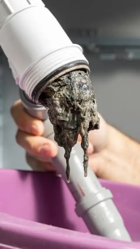 Clogged drain pipe backed up with thick, greasy buildup, requiring professional plumbing services.