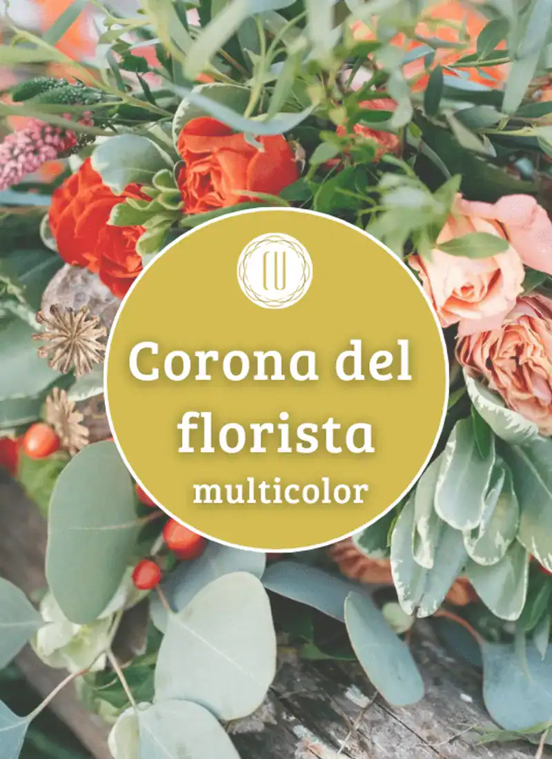 Corona del florista multicolor