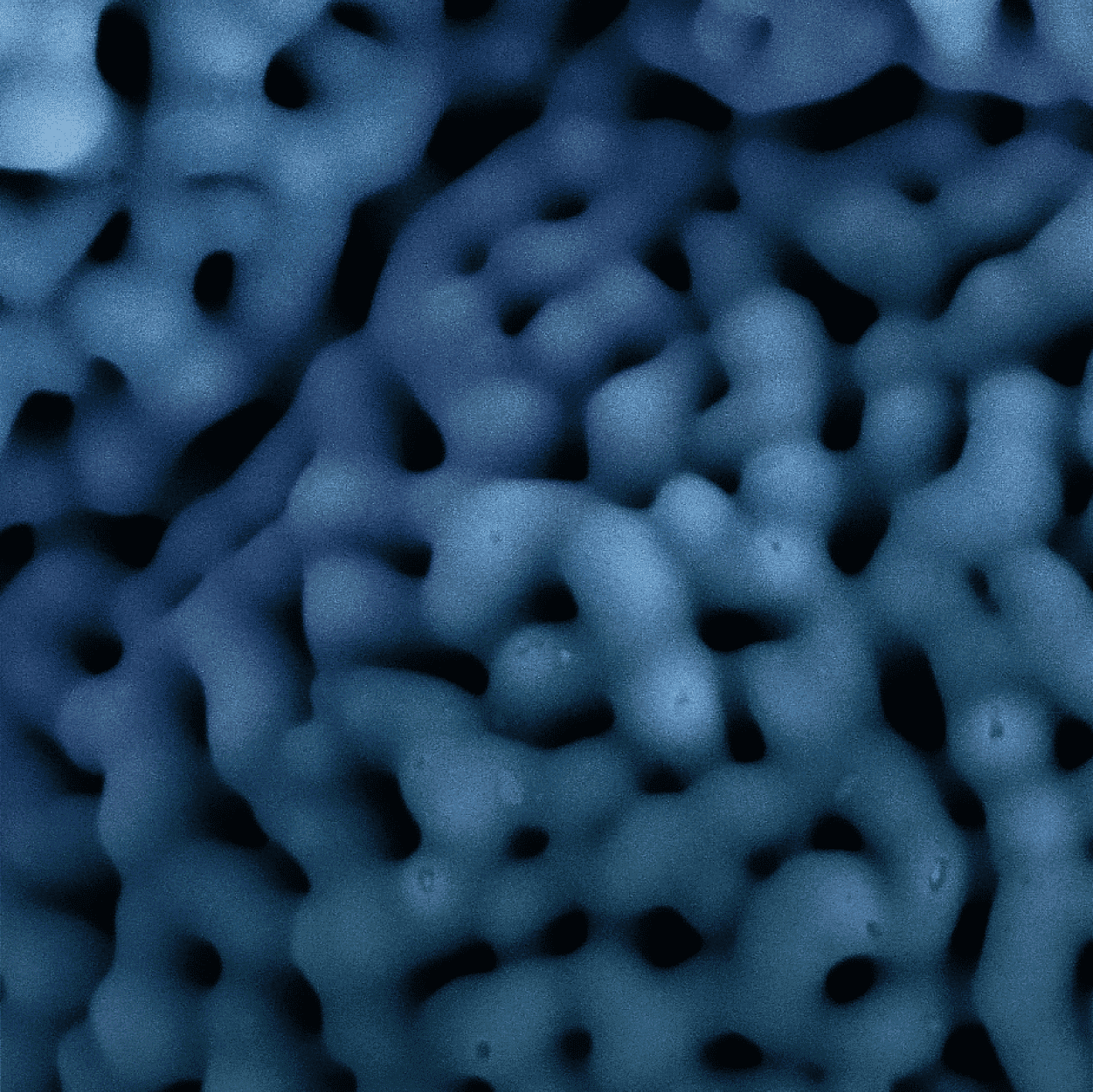 Gain Confidence in Scanning Electron Microscope (SEM) Optimization & Analysis