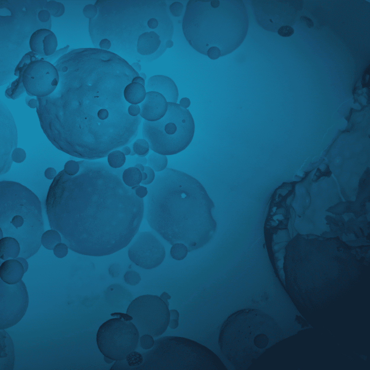 CT vs SEM: 10 Comparisons for Subsurface Imaging Analysis