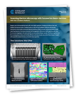 Scanning Electron Microscopy With Focused Ion Beam Services